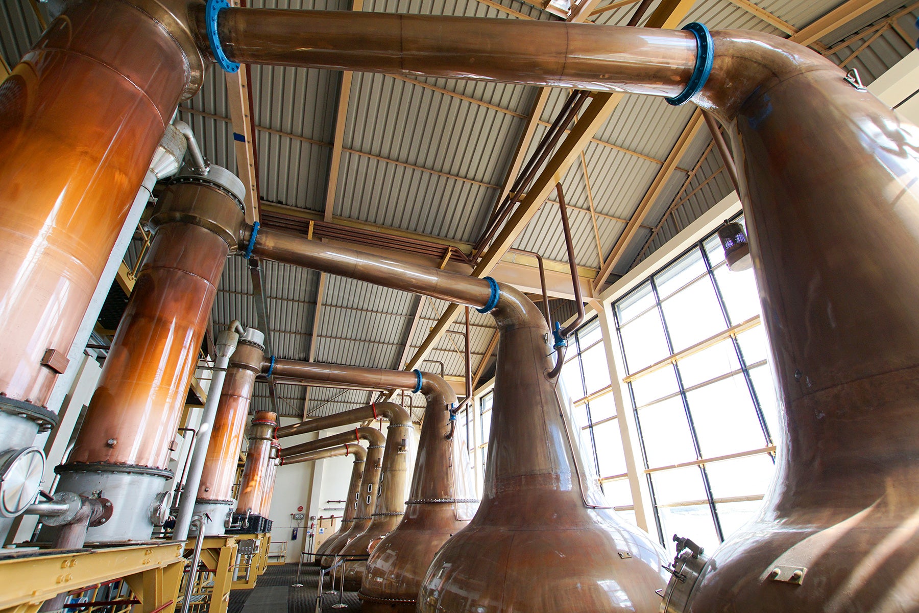 How is Scotch whisky made?